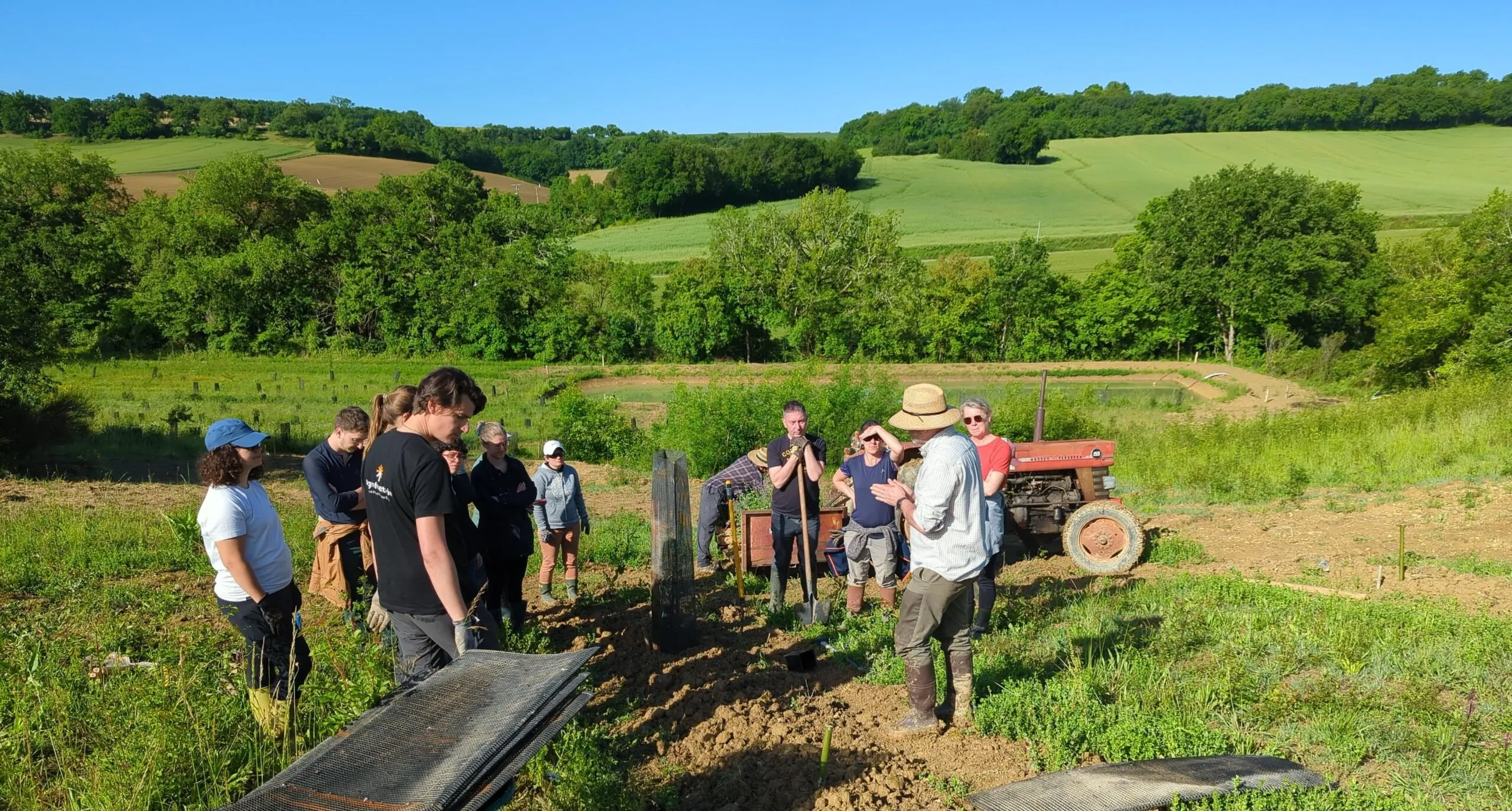 Groupe en plantation