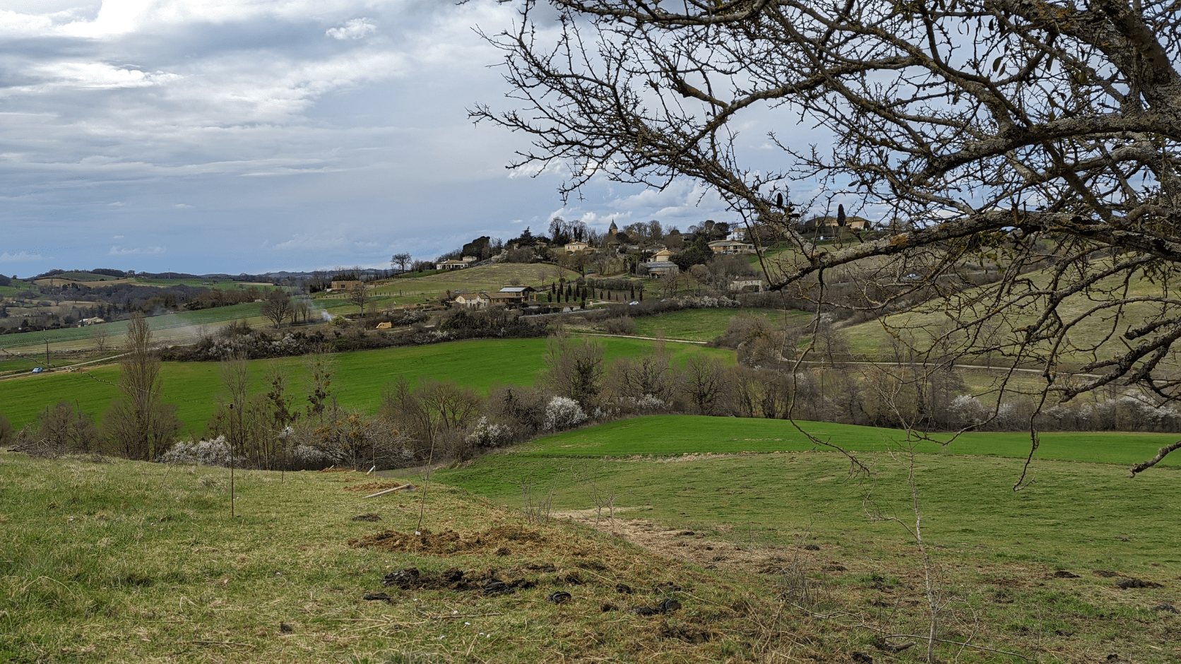 Paysage agroforestier dans le Gers
