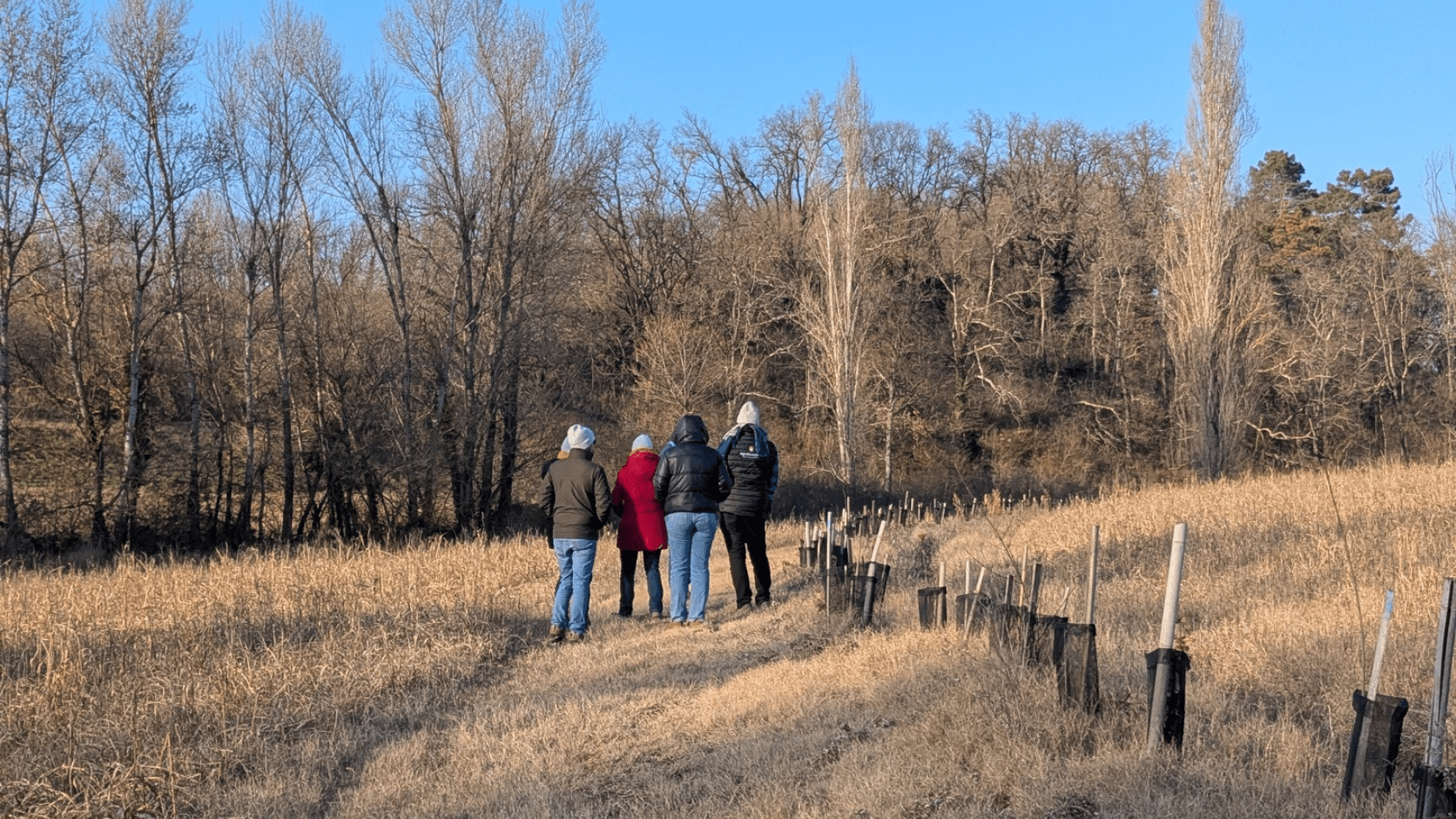Visite d'une parcelle agroforestière