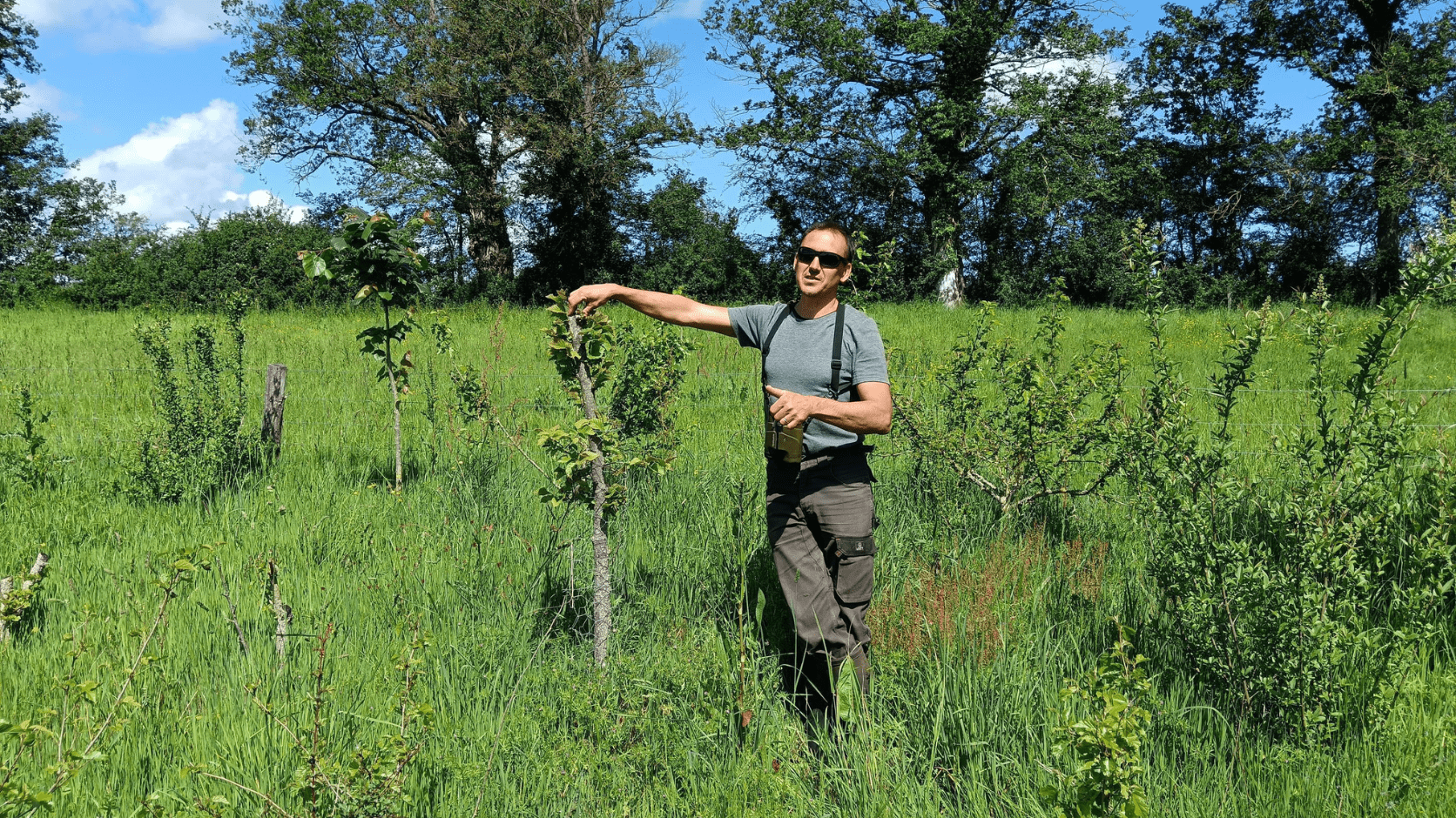 Romary sur sa parcelle