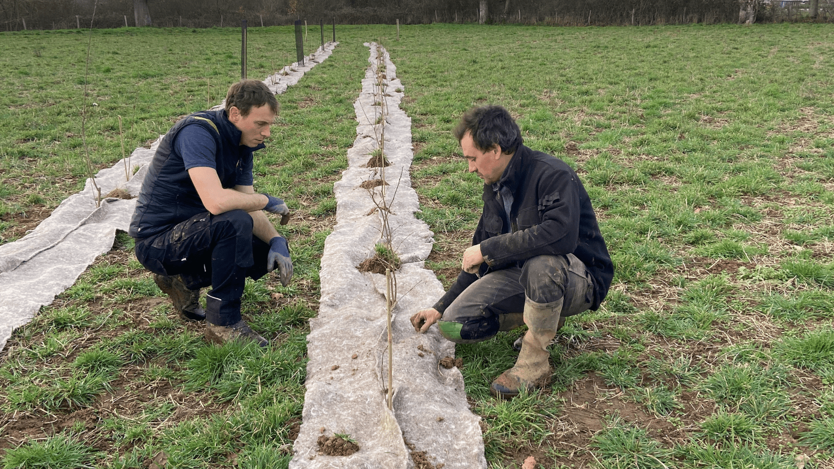 Romary et Franck pendant la plantation