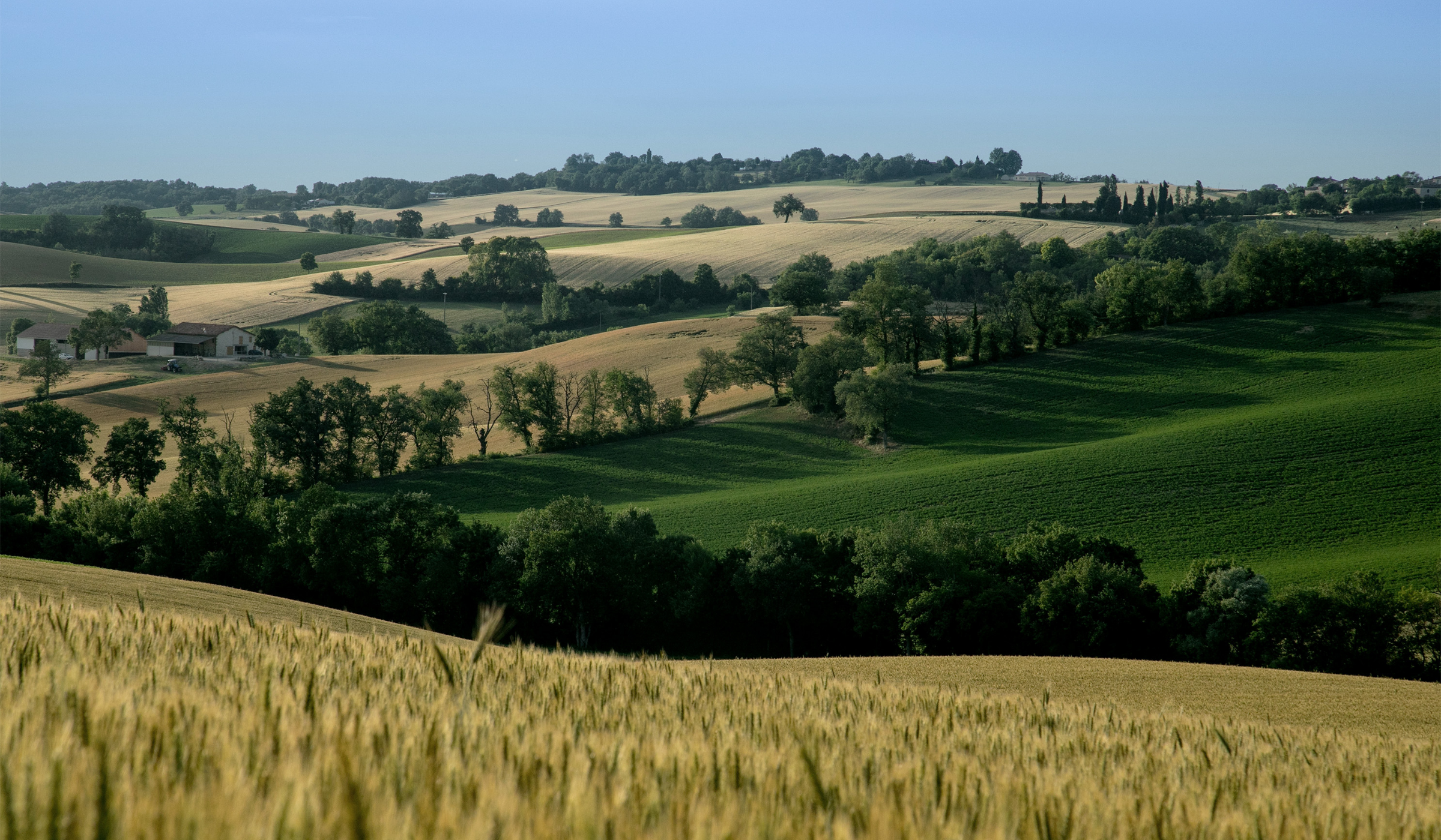 Paysage agroforestier