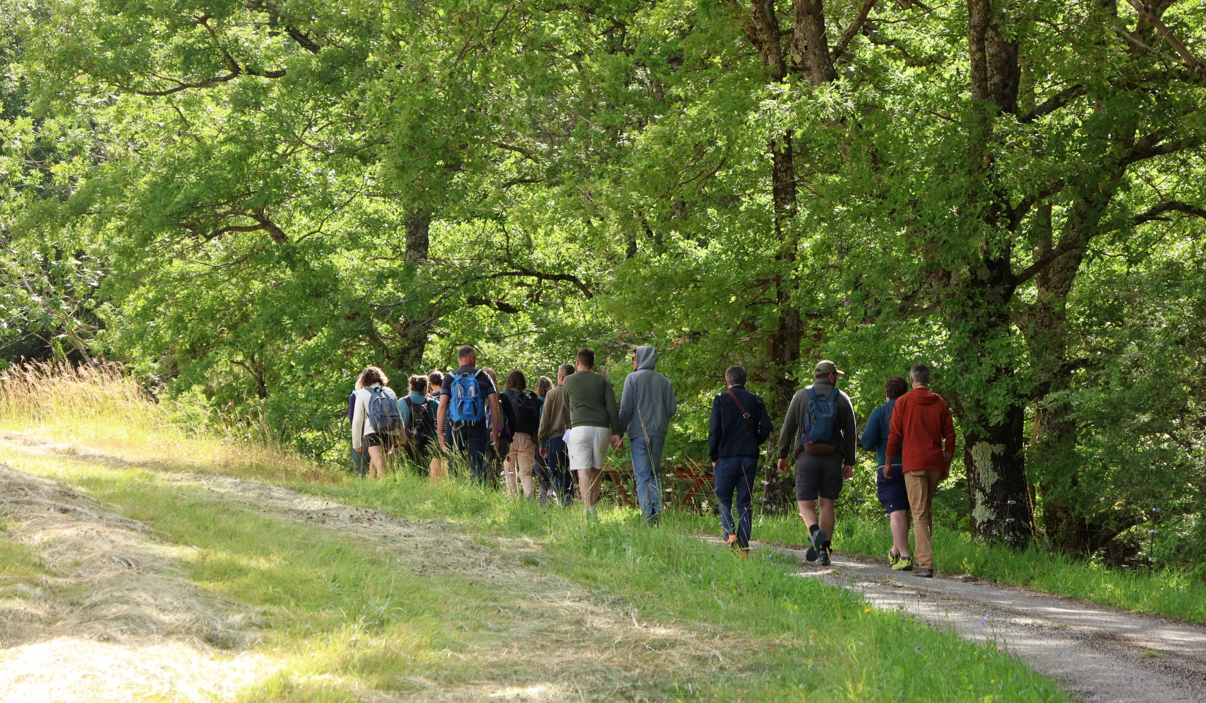 Groupe dans un champ