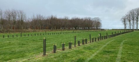 Plantation